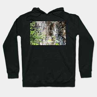 Lainbachtal - Abraded surface at geological fault Hoodie